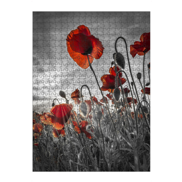artboxONE Puzzle "Faszination Mohnblumen - colorkey" artboxONE - Natur,Floral