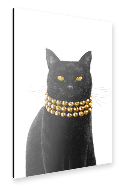 Alu-Dibond "Luxuriöse schwarze Katze" 30x20 cm artboxONE