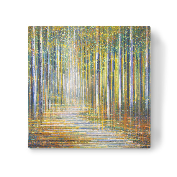 Leinwandbild "Sommerwald bei Sonnenuntergang" artboxONE - Natur,Abstrakt - Wald,Sommer,Wege,Bäume,Natur