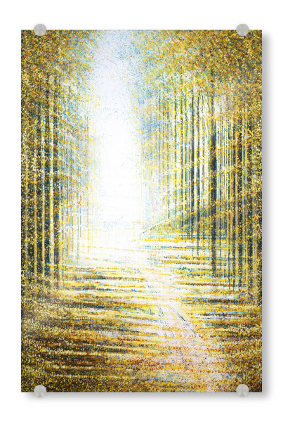 Acrylglasbild "Ein Weg durch den Wald" artboxONE - Natur - Herbst,Herbst,Wald,Bäume,Wege,Natur,Blätter,Sonnenlicht