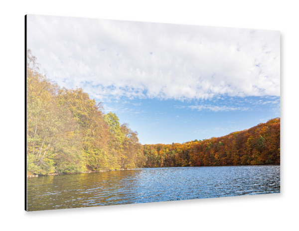 Alu-Dibond "Bäume, Herbst, See, Wald" 30x20 cm artboxONE