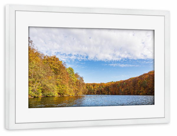 Poster mit Rahmen weiß "Bäume, Herbst, See, Wald" artboxONE - Natur,Reise