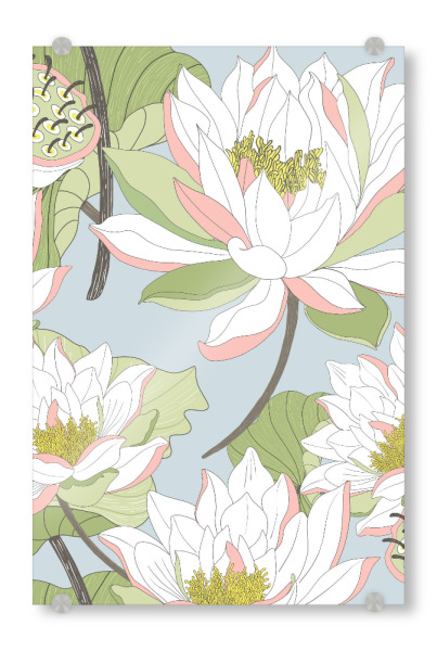 Acrylglasbild "Nymphaea" artboxONE - Natur,Floral,Abstrakt - Seerose,Nymphaea,Wasser,Blatt,Blume,Floral,Pflanze,Botanisch