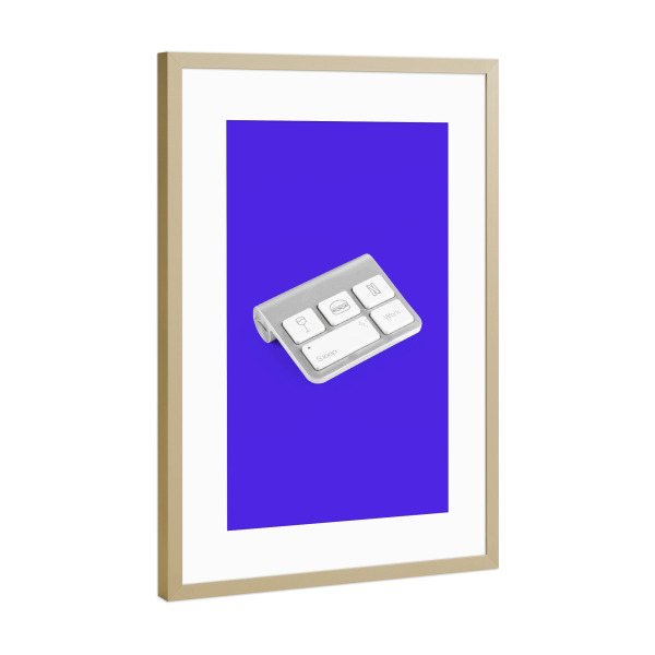 Poster mit Rahmen Gold "Lebenskontrolleur" artboxONE - Lustig