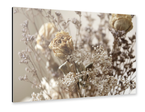 Alu-Dibond "Trockenblumen Rose Beige" 30x20 cm artboxONE