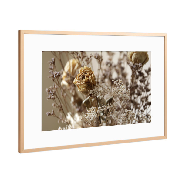Poster mit Rahmen Kupfer "Trockenblumen Rose Beige" artboxONE - Natur,Floral,Liebe
