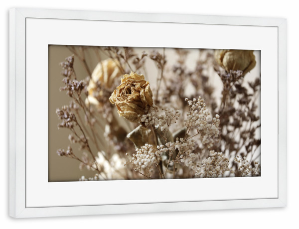Poster mit Rahmen weiß "Trockenblumen Rose Beige" artboxONE - Natur,Floral,Liebe