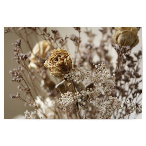 Trockenblumen Rose Beige