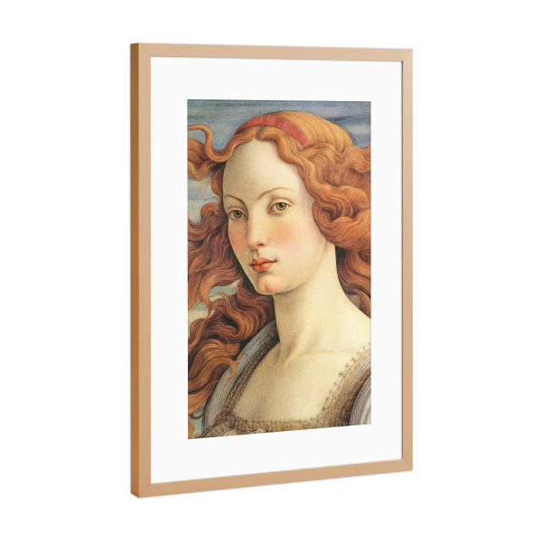 Poster mit Rahmen Kupfer "Die schöne Venus" artboxONE - Abstrakt,Menschen