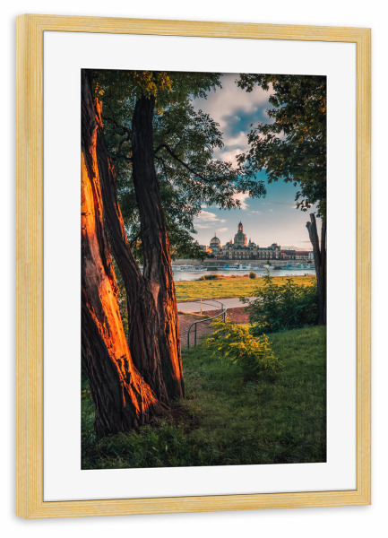Poster mit Rahmen kiefer "Königsufer im Sommer" artboxONE - Reise,Städte / Dresden - Dresden,Deutschland,Frauenkirche,Elbufer,Elbe,Ufer,Stadt,Ausblick