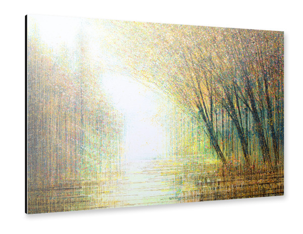 Alu-Dibond "Autumn Woodland" 30x20 cm artboxONE