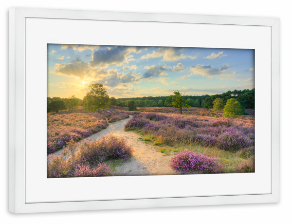 Poster mit Rahmen weiß "Abend in der Heide" artboxONE - Natur,Reise