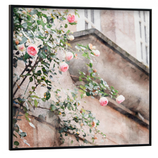 Poster mit schwarzem Rahmen 30x30 cm "Zartrosa Blüten" artboxONE - Floral,Architektur - Blumen,Blumen,Rosen,Architektur,Gebäude