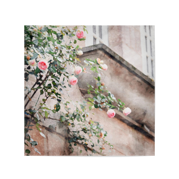 Poster 20x20 cm "Zartrosa Blüten" artboxONE - Floral,Architektur - Blumen,Blumen,Rosen,Architektur,Gebäude