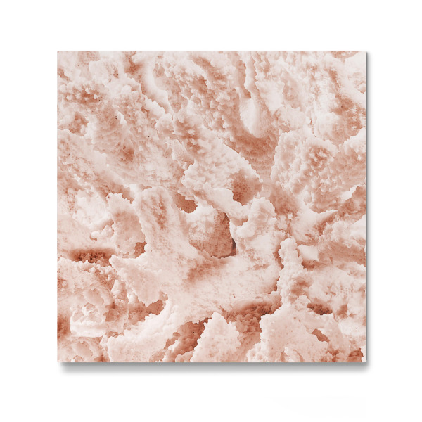 Galerie-Print "Pfirsiche in der Natur F" 30x30 cm artboxONE