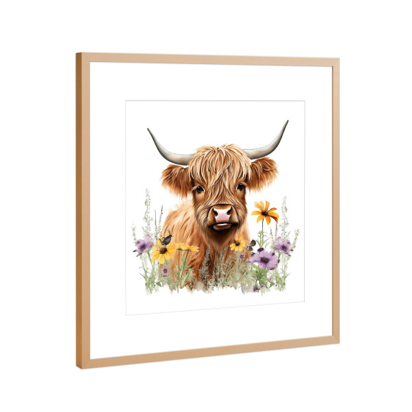 Poster mit Rahmen Kupfer "Hochlandkuh S" artboxONE - Natur,Floral,Tiere - Rinder,Kuh,Hochland,Niedlich,Blumen,Blumen,Natur