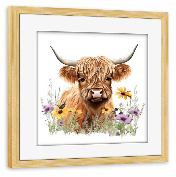 Poster mit Rahmen kiefer "Hochlandkuh S" artboxONE - Natur,Floral,Tiere - Rinder,Kuh,Hochland,Niedlich,Blumen,Blumen,Natur