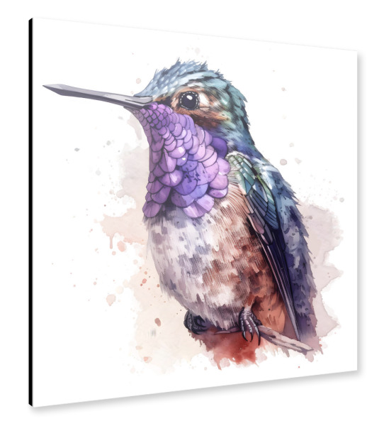 Alu-Dibond "Kolibri C" 30x30 cm artboxONE