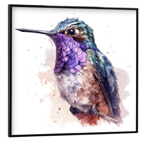 Poster mit schwarzem Rahmen 30x30 cm "Kolibri C" artboxONE - Tiere - Tiere,Vögel,Kolibris,Aquarell,Bunt