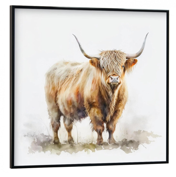 Poster mit schwarzem Rahmen 30x30 cm "Highland Cow Field G" artboxONE - Natur,Tiere - Kuh,Rinder,Tiere,Natur,Aquarell,Feld,Landschaft