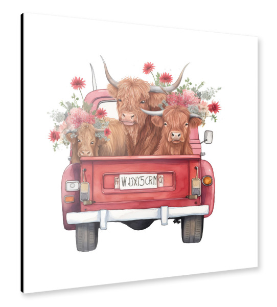 Alu-Dibond "Highland Cow Truck A" 30x30 cm artboxONE