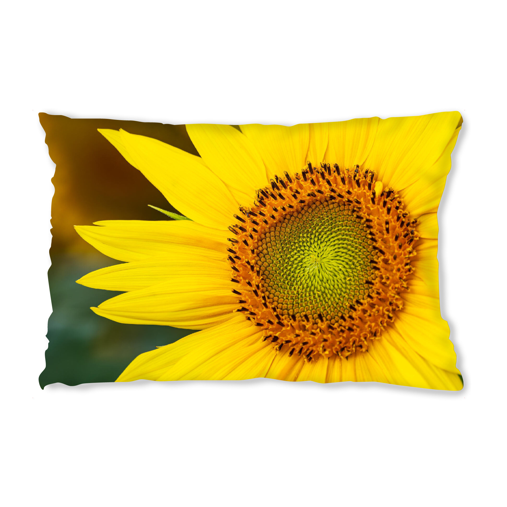 Design-Kissen "Detail einer Sonnenblume" artboxONE - Natur,Floral