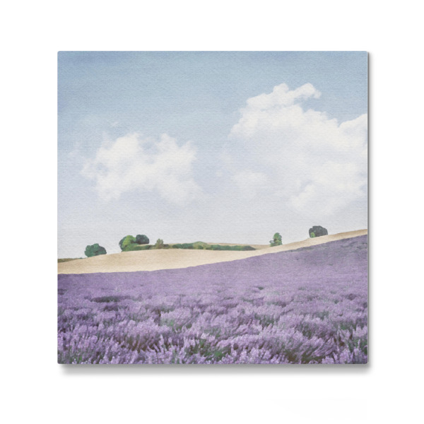 Galerie-Print "Lavendelfeld D" 30x30 cm artboxONE