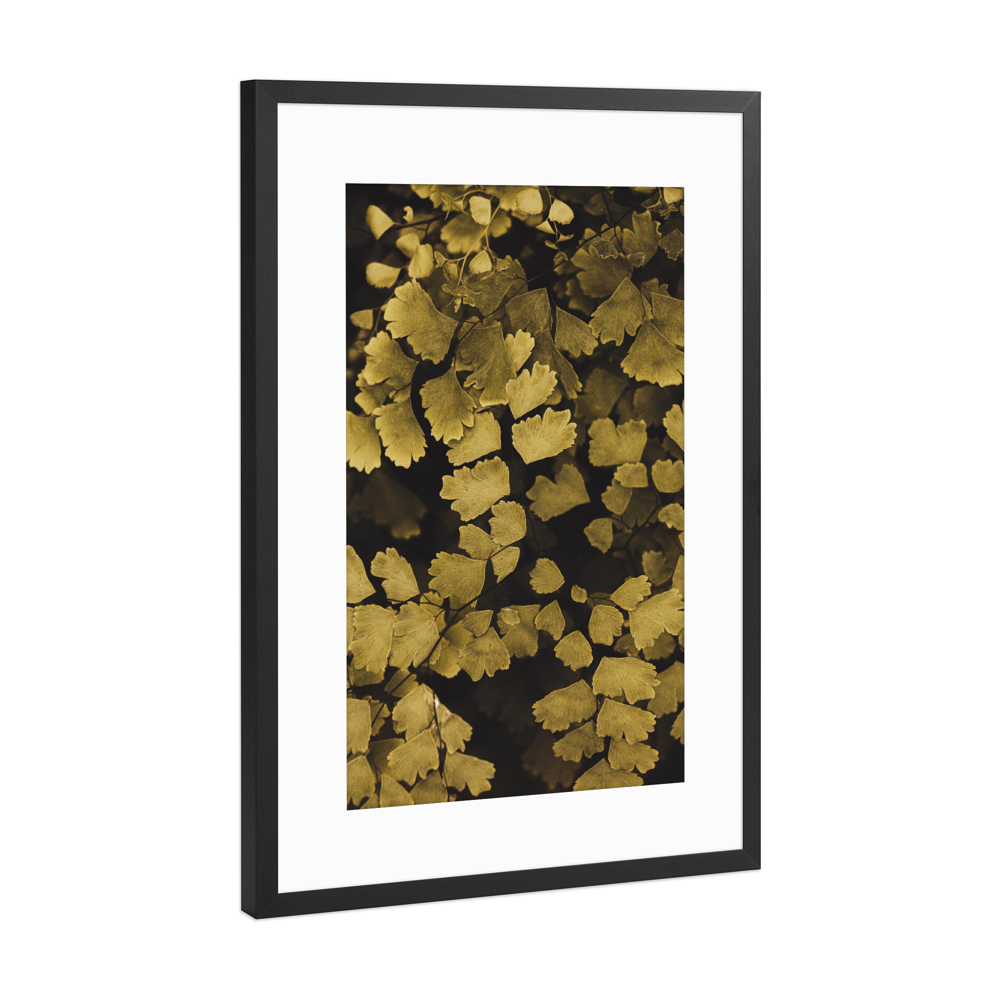 Poster mit Rahmen Schwarz (Metallic) "Gold Blatt" artboxONE - Natur,Abstrakt