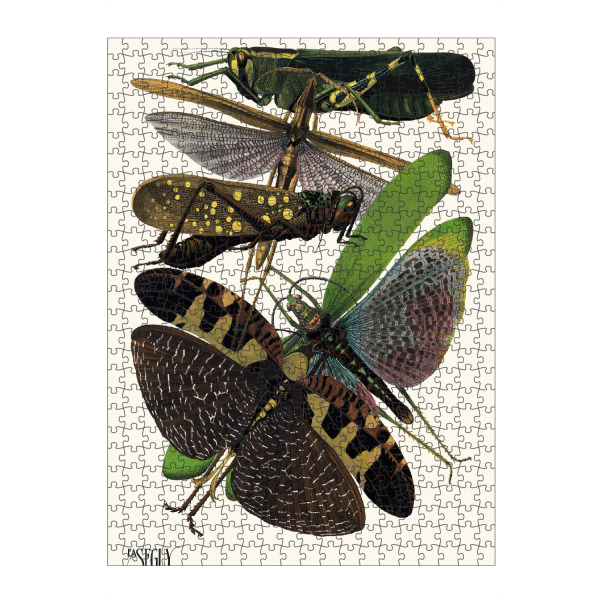 artboxONE Puzzle "Séguy - Grashüpfer" artboxONE - Typografie,Natur,Tiere - Natur,Insekten,Museum,Flora,Tier,Farbenfroh,Muster,Bunt,Grashüpfer