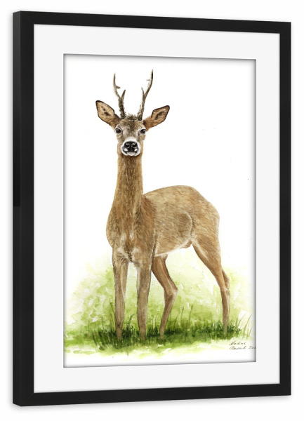 Poster mit Rahmen schwarz "Reh Aquarell" artboxONE - Tiere - Reh,Hirsch,Wild,Rehe