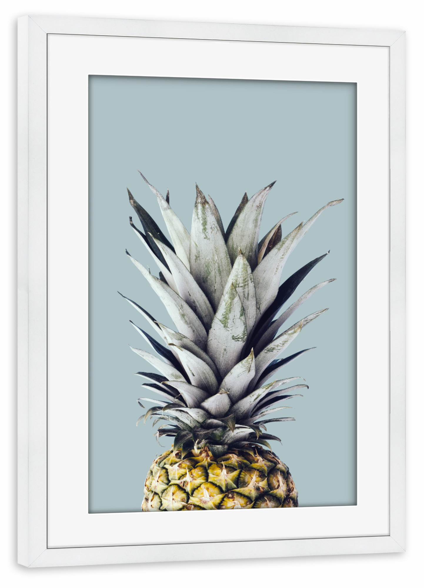 Poster mit Rahmen weiß "Pineapple in blue background" artboxONE - Floral - Ananas,Blau,Blumig,Obst,Fotografie,Collage,Modern,Blätter,Natur,Sommer