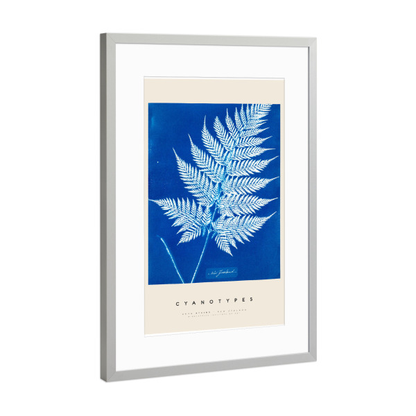 Poster mit Rahmen Silber "Anna Atkins - Cyanotypes" artboxONE - Typografie,Natur,Floral