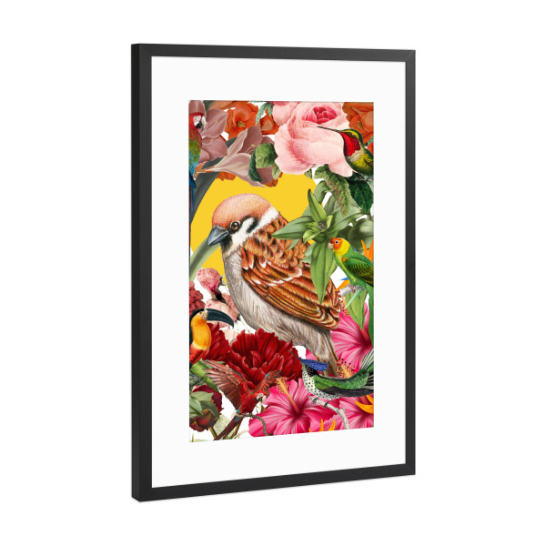 Poster mit Rahmen Schwarz (Metallic) "Tropical birds collage" artboxONE - Natur,Floral