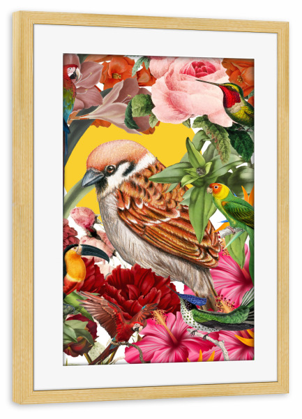 Poster mit Rahmen kiefer "Tropical birds collage" artboxONE - Natur,Floral