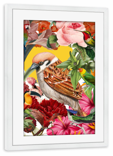 Poster mit Rahmen weiß "Tropical birds collage" artboxONE - Natur,Floral