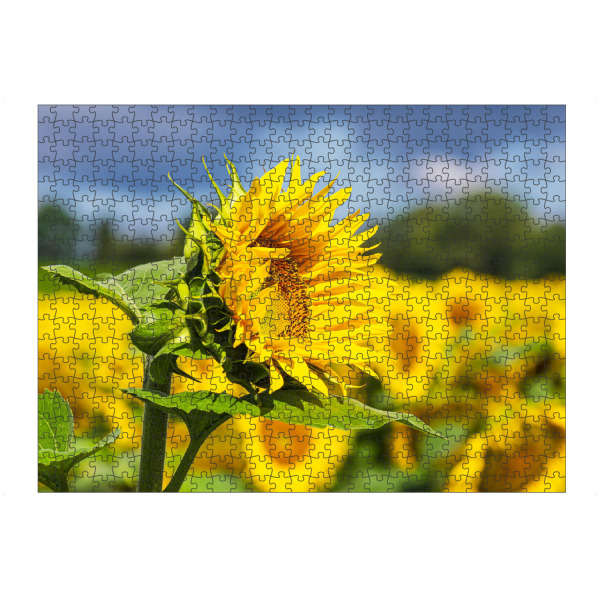Puzzle Ravensburger "Sonnenblume, Bäume, Wolken" artboxONE - Natur