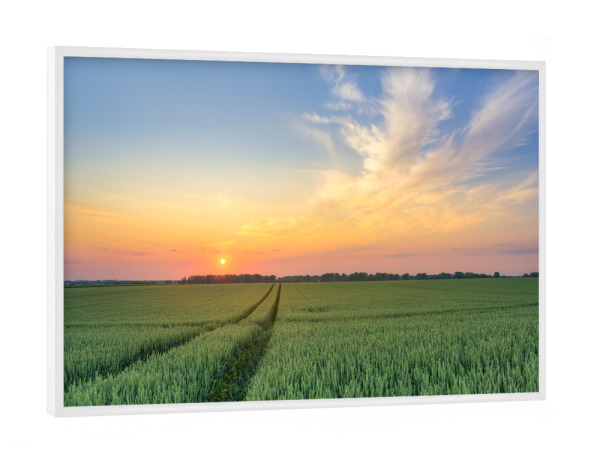 Poster mit weißem Rahmen "Sonnenuntergang im Weizenfeld" artboxONE - Natur,Reise,Floral