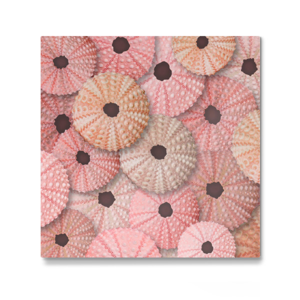 Galerie-Print "Pfirsiche in der Natur E" 30x30 cm artboxONE