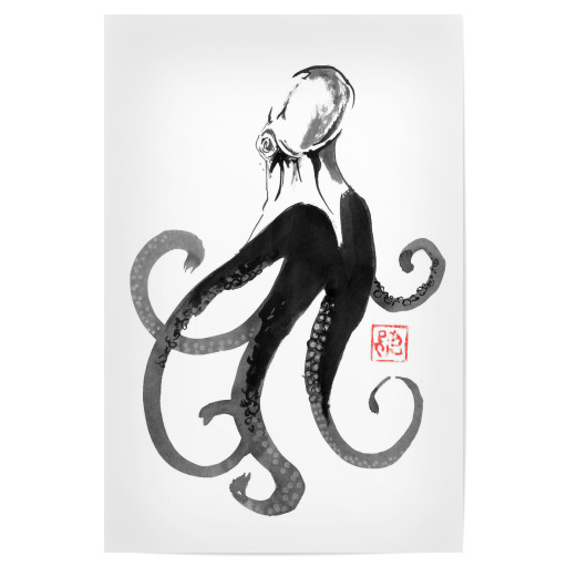 Oktopus Oktopus