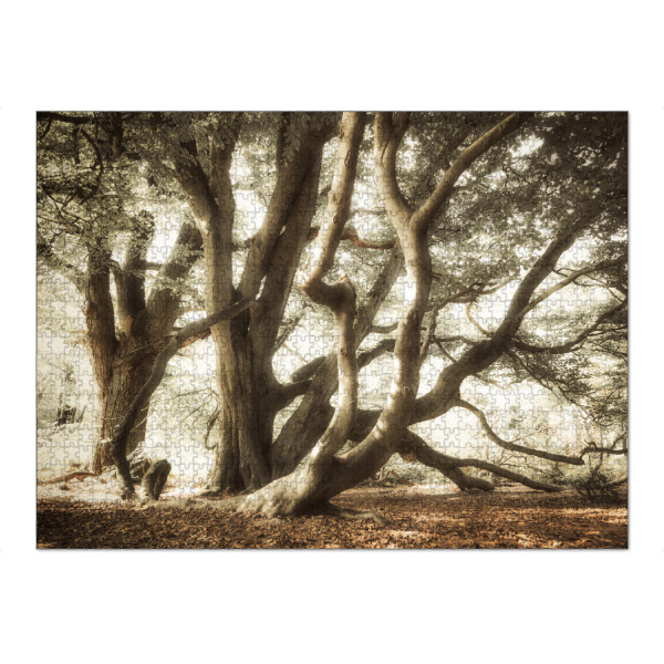 Puzzle Ravensburger "Verschlungene Bäume" artboxONE - Natur,Reise,Floral