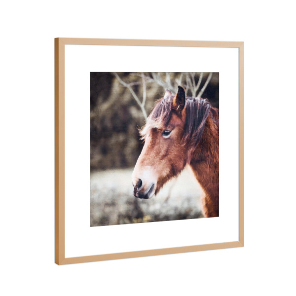 Poster mit Rahmen Kupfer "Pferde E" artboxONE - Natur,Tiere - Tiere,Pferde,Natur,Felder,Bäume