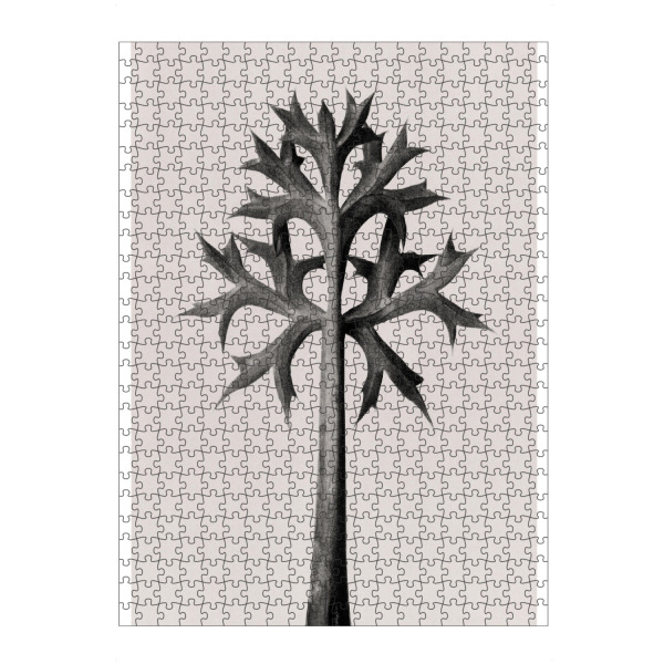Puzzle Ravensburger "Blossfeldt - Eryngium Bourgatii" artboxONE - Natur,Floral,Schwarzweiß