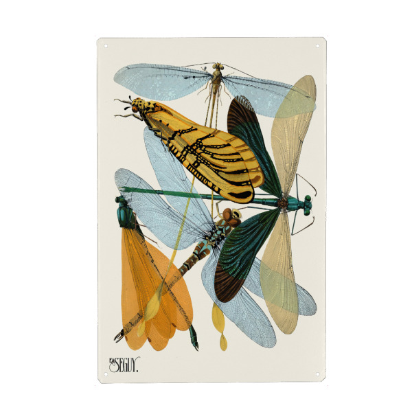 Holzbild "Séguy - Libellen" artboxONE - Typografie,Natur,Tiere - Natur,Insekten,Museum,Flora,Tier,Farbenfroh,Muster,Bunt,Libelle,See,Vintage