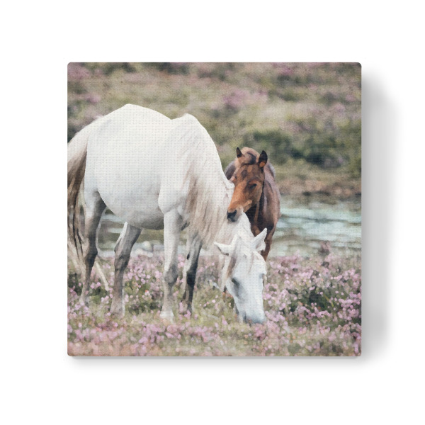 Leinwandbild "Pferde - braun und weiß" artboxONE - Natur,Tiere - Tiere,Natur,Felder,Pferde,Mutter und baby,Baby,Fohlen
