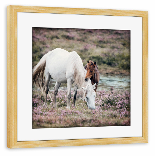 Poster mit Rahmen kiefer "Pferde - braun und weiß" artboxONE - Natur,Tiere - Tiere,Natur,Felder,Pferde,Mutter und baby,Baby,Fohlen