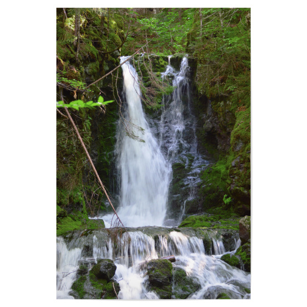 Poster 30x20 cm "Dicksen Falls" artboxONE - Natur,Reise,Reise / Länder