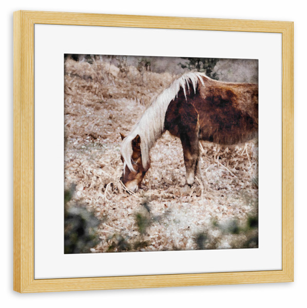 Poster mit Rahmen kiefer "Pferde K" artboxONE - Natur,Tiere - Tiere,Pferde,Natur,Felder