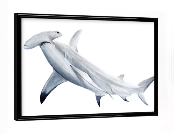 Poster mit schwarzem Rahmen "Hammerhai" artboxONE - Tiere,Unterwasser - Hai,Hammerhai,Meerestiere,Haie