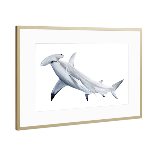 Poster mit Rahmen Gold "Hammerhai" artboxONE - Tiere,Unterwasser - Hai,Hammerhai,Meerestiere,Haie
