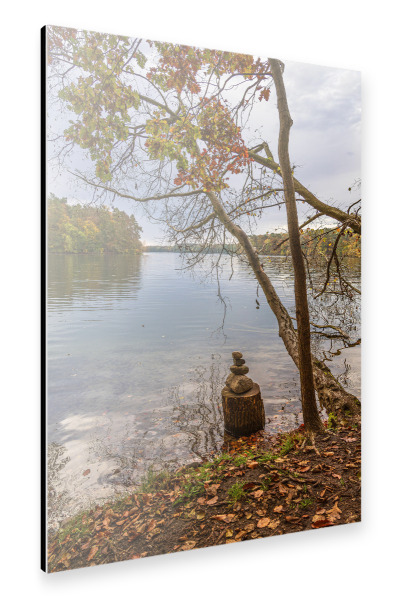 Alu-Dibond "Herbst, See, Baum, Wald" 30x20 cm artboxONE